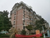 国泰小区实景图，拍摄于2024/11/13