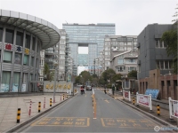 国泰时代花园实景图，拍摄于2024/11/13