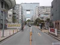 国泰时代花园实景图，拍摄于2024/11/13