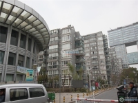 国泰时代花园实景图，拍摄于2024/11/13