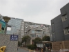 国泰时代花园实景图，拍摄于2024/11/13