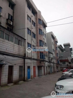 ͭ���´����