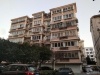 庆丰新村实景图，拍摄于2024/11/13