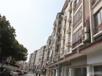 向阳新村实景图，拍摄于2024/11/13