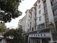 向阳新村实景图，拍摄于2024/11/13