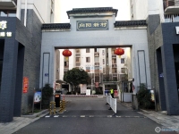 向阳新村实景图，拍摄于2024/11/13