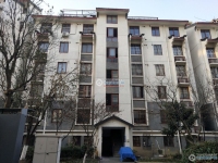 向阳新村实景图，拍摄于2024/11/13