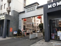 向阳新村实景图，拍摄于2024/11/13