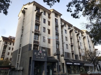 向阳新村实景图，拍摄于2024/11/13