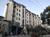 向阳新村实景图，拍摄于2024/11/13
