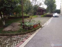 向阳新村实景图，拍摄于2024/11/13