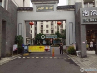 向阳新村实景图，拍摄于2024/11/13