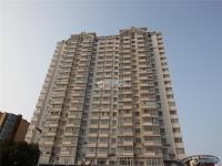世纪大厦实景图，拍摄于2024/11/13