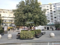 王府名邸实景图，拍摄于2024/11/13