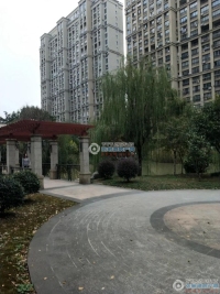 东方新天地实景图，拍摄于2024/11/21