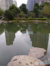 东方新天地实景图，拍摄于2024/11/21