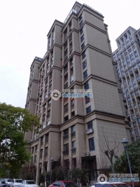 东方新天地实景图，拍摄于2024/11/21