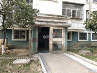 云盘三村阳光社区实景图，拍摄于2024/11/21