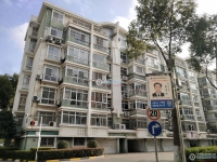 云盘三村阳光社区实景图，拍摄于2024/11/21