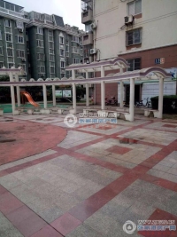 云盘三村阳光社区实景图，拍摄于2024/11/21
