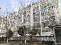 云盘三村阳光社区实景图，拍摄于2024/11/21