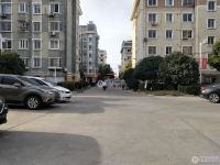 云盘三村阳光社区实景图，拍摄于2024/11/21