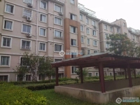 城东花苑实景图，拍摄于2024/11/21