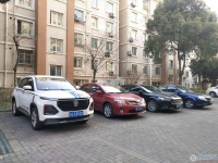 城东花苑实景图，拍摄于2024/11/21