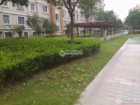 城东花苑实景图，拍摄于2024/11/21