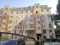 城东花苑实景图，拍摄于2024/11/21