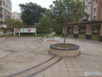 城东花苑实景图，拍摄于2024/11/21