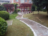 景江花园实景图，拍摄于2024/11/21