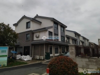 前溪巷实景图，拍摄于2024/11/21