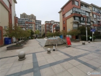 塘桥东海明珠实景图，拍摄于2024/11/21