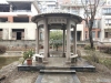 塘桥东海明珠实景图，拍摄于2024/11/21