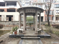 塘桥东海明珠实景图，拍摄于2024/11/21