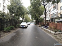 塘桥东海明珠实景图，拍摄于2024/11/21