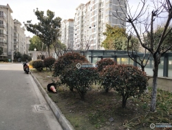 �ʺ�Է���
