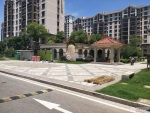 �¶�ׯ��Է