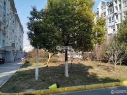 ��Ժ�������