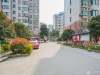 鑫江花苑实景图，拍摄于2024/11/21