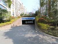 锦绣阳光实景图，拍摄于2024/11/21