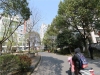 锦绣阳光实景图，拍摄于2024/11/21