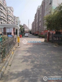 花园城实景图，拍摄于2024/11/21