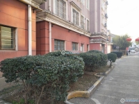 花园城实景图，拍摄于2024/11/21