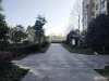 玉水世家实景图，拍摄于2024/11/21