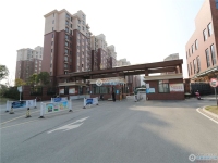 勤星苑北区实景图，拍摄于2024/11/21