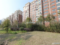 勤星苑北区实景图，拍摄于2024/11/21