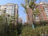 勤星苑北区实景图，拍摄于2024/11/21