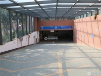 勤星苑北区实景图，拍摄于2024/11/21